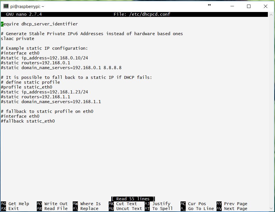 Editing dhcpcd.conf with nano