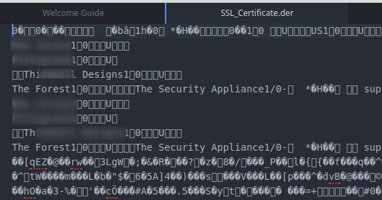 DER format certificate gibberish